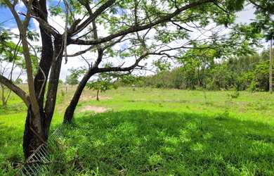 Imagem 15: Fazenda com 3 dormitórios à venda, 484000 m² por R$ 1.300.000,00 -...