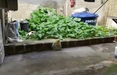 Imagem 2: Cariacica Mucuri - Disponível para venda