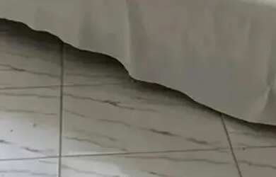 Imagem 4: Chacara para venda Serrinha - Bragança Paulista - SP