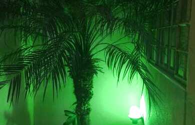 Imagem 4: Aluga-se casa em Jales. 2 Vagas na garageme2 Dormitórios