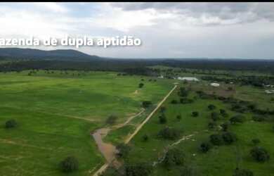 Imagem: A fazenda está localizado em Plano Diretor Sul, Palmas à venda