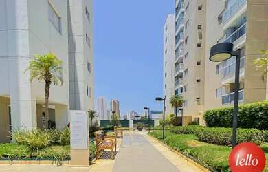 Imagem 14: São Paulo - Apartamento Padrão - Lapa