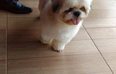 Imagem: A casa possui 2 Dormitórios, 2 Banheiros, 1 Vaga na garagem