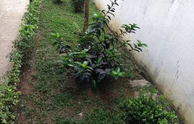 Imagem 14: Venda de casa. Piscina, Churrasqueira, 411m² de Áreae4 Vagas na garagem