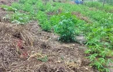 Imagem 5: Vendo lote 500m² bairro bom destino santa luzia