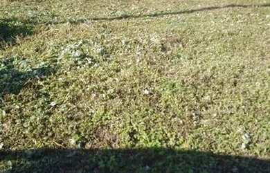 Imagem: O terreno possui 300m² de Área e está localizado em Balneário