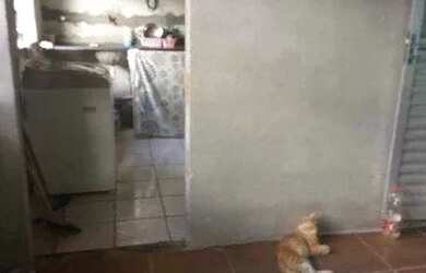 Imagem 5: vendo casa em santo antonio