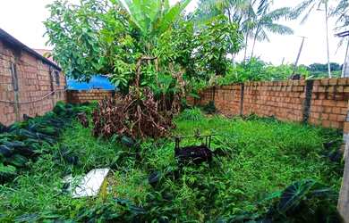 Imagem 3: //Casa com quintal e garagem - Jorge Teixeira