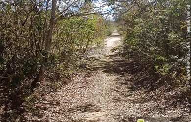 Imagem: A fazenda possui 90m² de Área e Varanda e está localizado