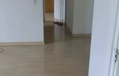 Imagem 16: Excelente Apartamento para Locação - Barra da Tijuca