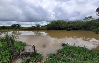 Imagem 9: Fazenda com 3 dormitórios à venda, 484000 m² por R$ 1.300.000,00 -...