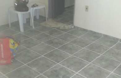 Imagem: O apartamento possui 2 Dormitórios, 1 Banheiro, 40m² de Área