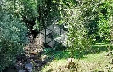 Imagem 4: Sitio de 22 hectares a poucos quilometros de Canela