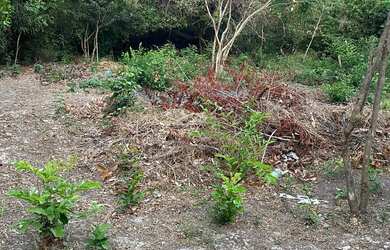 Imagem 5: VENDO TERRENO EM PANAQUATIRA