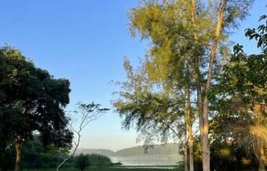 Imagem 8: Casa para venda com 4 quartos em Zacarias - Maricá - RJ