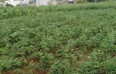 Imagem: O terreno possui 270m² de Área e está localizado em Santa