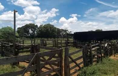 Imagem 12: Fazenda Buritis MG. 345m² de Área