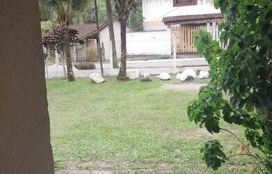 Imagem 3: Temporada em Paraty RJ. 5 Vagas na garageme4 Dormitórios