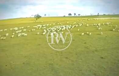 Imagem: A fazenda à venda possui e está localizado em Bela Vista