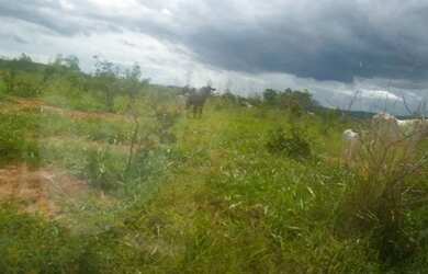 Imagem 3: Fazenda Buritis MG. 345m² de Área