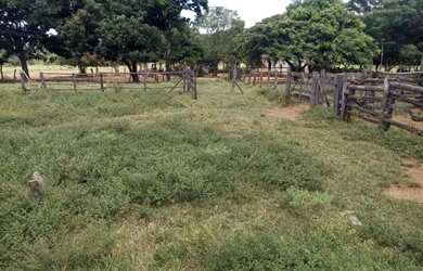 Imagem 8: Fazenda Buritis MG. 345m² de Área