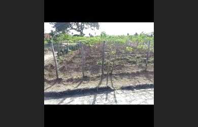 Imagem 3: Apenas venda. Piscinae270.000m² de Área