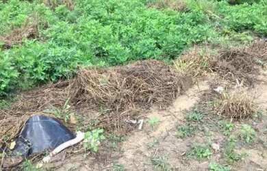 Imagem 1: Vendo lote 500m² bairro bom destino santa luzia