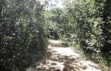 Imagem: A fazenda possui 800m² de Área e está localizado em Jaguaripe