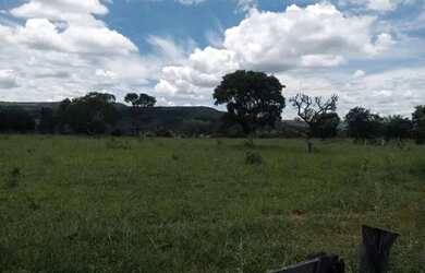 Imagem 10: Fazenda Buritis MG. 345m² de Área