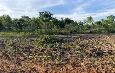 Imagem 6: Fazenda novo acordo Tocantins