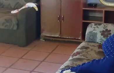 Imagem 5: Casa para verameio