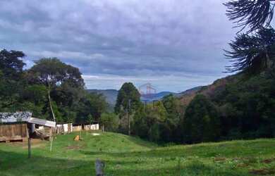 Imagem 7: Sítio à Venda em Canela!