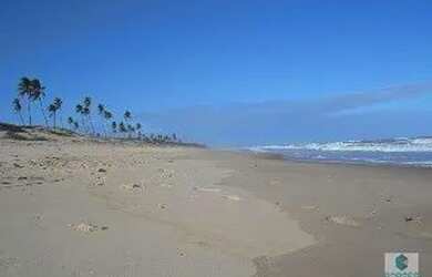 Imagem 13: TERRENO EM CONDE- BA. 77017m² de Área