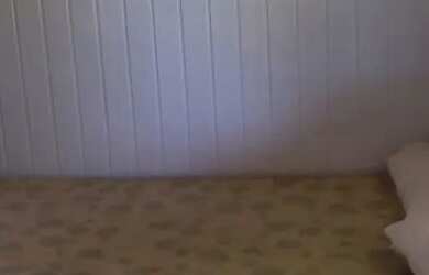 Imagem 2: Casa para verameio