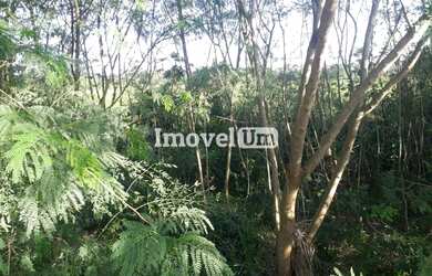 Imagem 4: Barra da Tijuca Terreno. 32.000m² de Área