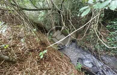 Imagem: Hidrolândia - Chácara de 1 Alqueire codigo 266110