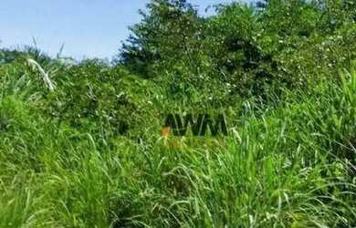 Imagem 15: Fazenda 100 alq. margem da rodovia à venda, 4840000 m² por R$ 20.000.000...