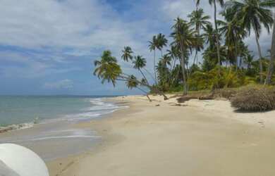 Imagem: A chácara possui 20000m² de Área Privada e está localizado