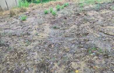 Imagem 4: Vendo lote 500m² bairro bom destino santa luzia