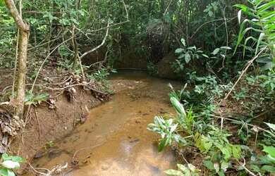 Imagem 4: .Uma fazenda 170 alqueires 52 km de Porto