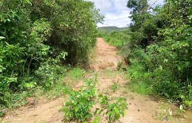 Imagem 2: .Uma fazenda 170 alqueires 52 km de Porto