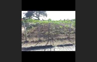 Imagem 2: Apenas venda. Piscinae270.000m² de Área