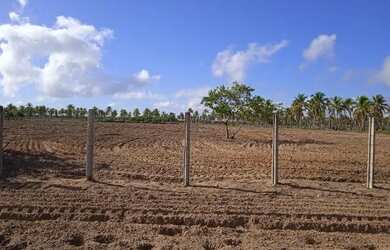 Imagem: O terreno possui 20000m² de Área e está localizado em Pitimbu