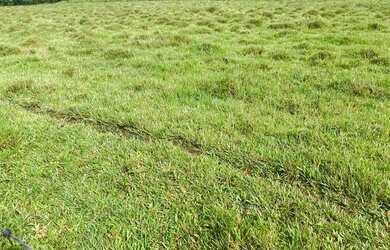 Imagem: O terreno está localizado em Centro, Mairiporã à venda por