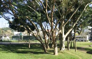 Imagem: A casa em condomínio possui 4 Dormitórios, 3 Banheiros, 292m²