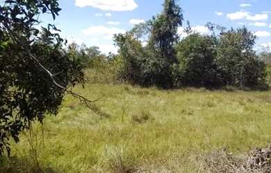 Imagem: A fazenda possui 920m² de Área e está localizado em Cocalinho