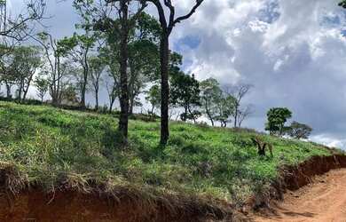 Imagem: O terreno possui 600m² de Área e está localizado em Centro
