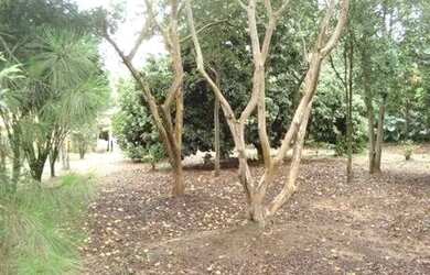 Imagem 2: Terreno - Parque Xangrilá - Campinas