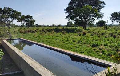 Imagem 5: Fazenda à venda de 497,00 Ha para Agricultura Irrigada Ibiaí - MG