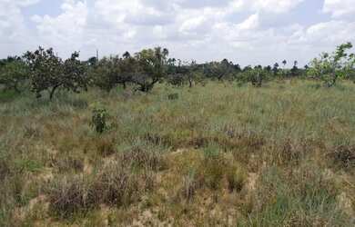 Imagem: A chácara e está localizado em Aeroporto, Boa Vista à venda